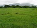 #4: View west. Mountains partially visible.