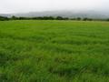 #5: View east. Clouds and mountains.