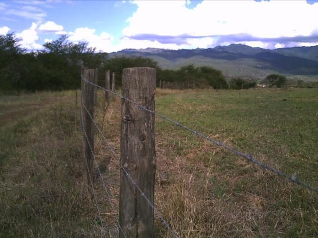 East view (Notice the finished barbwire fence)