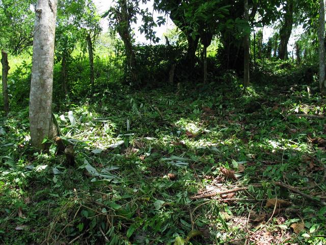 General area with barbed-wire fence visible.