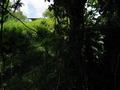 #4: View east. Barbed-wire fence and house visible.