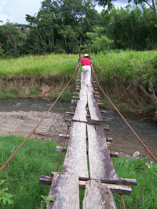 Anabella on "Hammock Bridge"