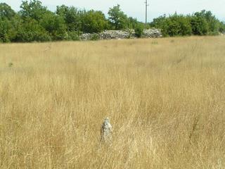 #1: overview, confuence is there, where the sharp rock is