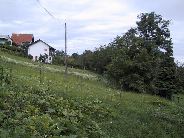 View from Point northward