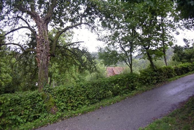 Blick nach Süden / View south