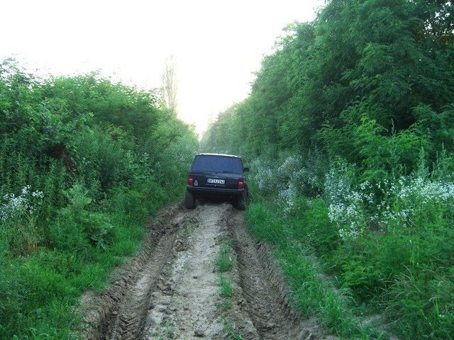 The path to the point / Der Pfad