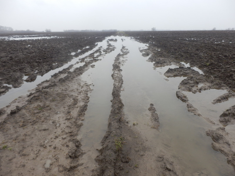 'Road' to the Confluence