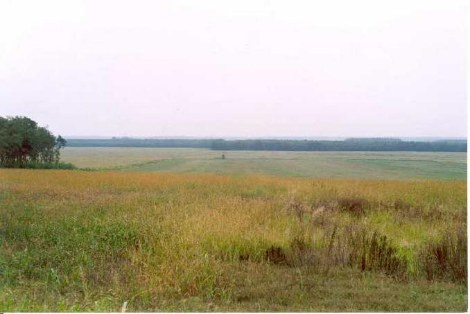 View to north - The point must be somewhere over there near the woods