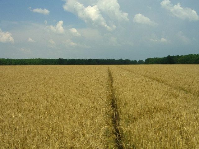 View east / Blick nach Osten