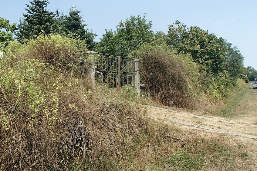 On the opposite side. The entrance to the Addams family estate / Напротив. Вход в поместье семейки Аддамс