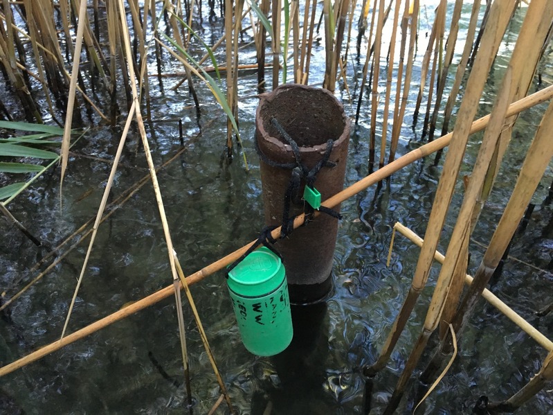 Cache at the Confluence