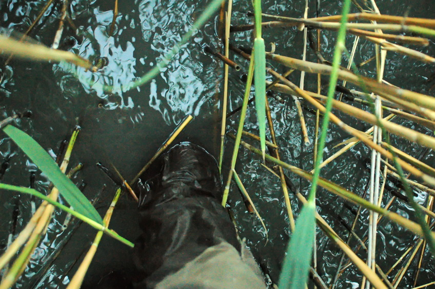 Feet in water