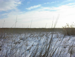 #1: Standing 95 m away from the confluence, looking to the lake