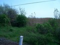 #7: Confluence point seen from the railway track about 125 m away