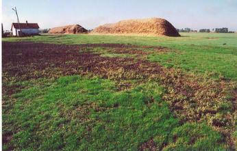 #1: The farm with a stack of straw