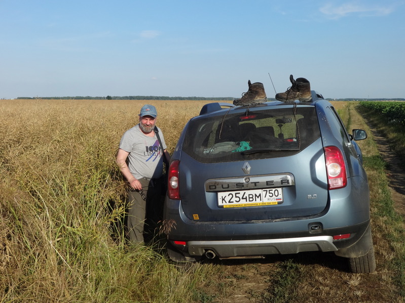 Drying in the sun / Просушка под солнцем