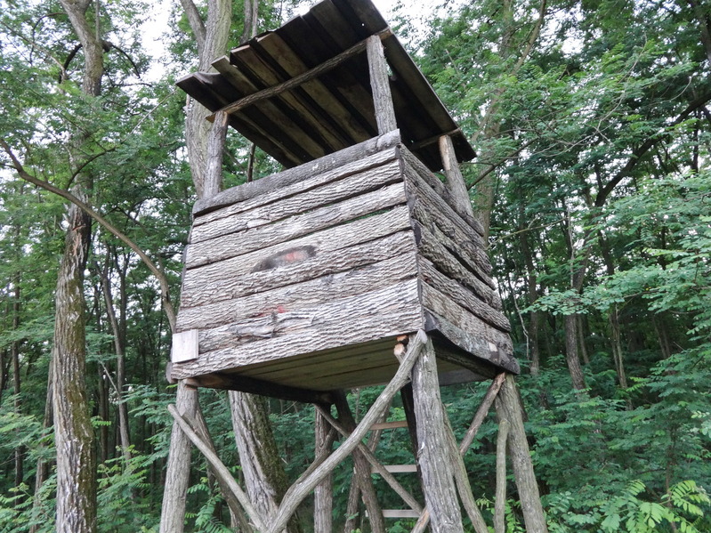 Hunting watch tower / Охотничья засидка