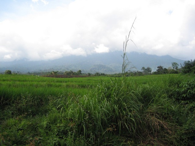 General view of the area 3 km away from the point