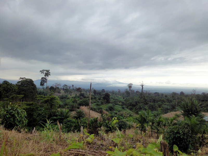  the landscape surrounding the confluence 