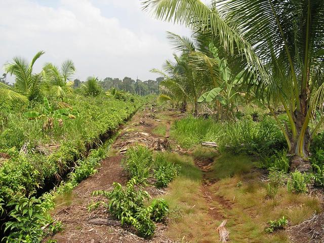 The Path to the confluence, only 3KM away