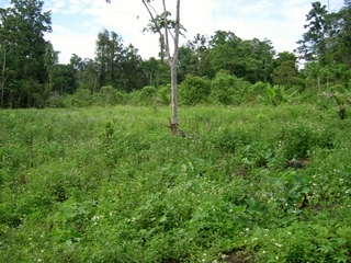 #1: View West towards the Confluence (3 km away)