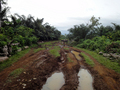 #7: the dirt track towards the confluence