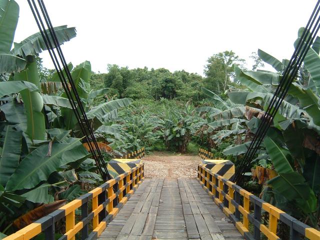 East side of the bridge on the Kendilo river