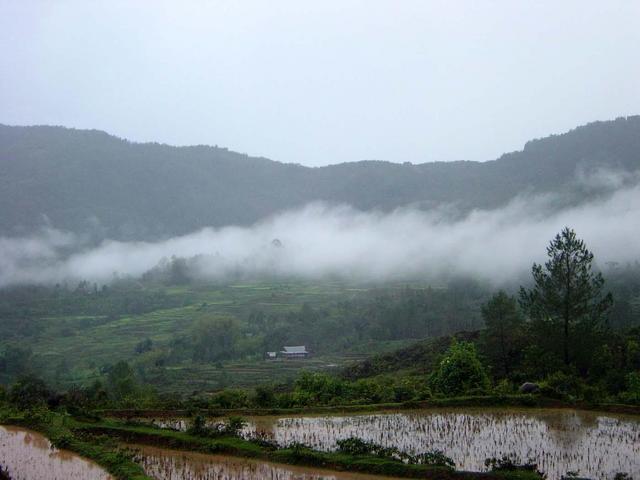 View of the confluence area 1300m north east