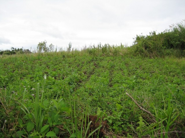 View South towards the confluence