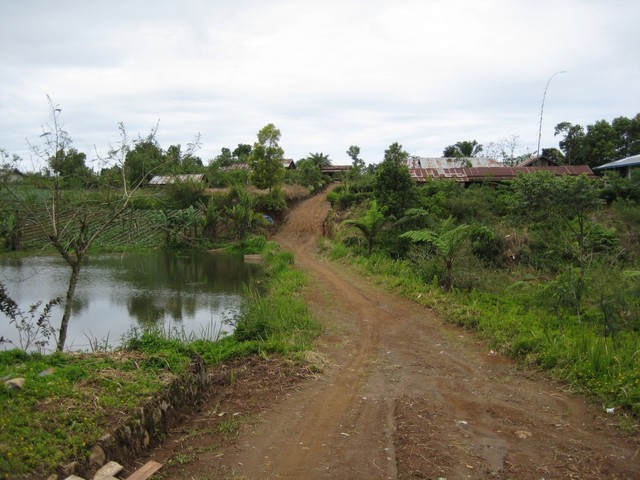 On the way to the confluence