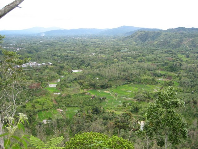 The valley with Liwa in the background