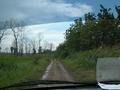 #7: The dirt road towards the confluence point