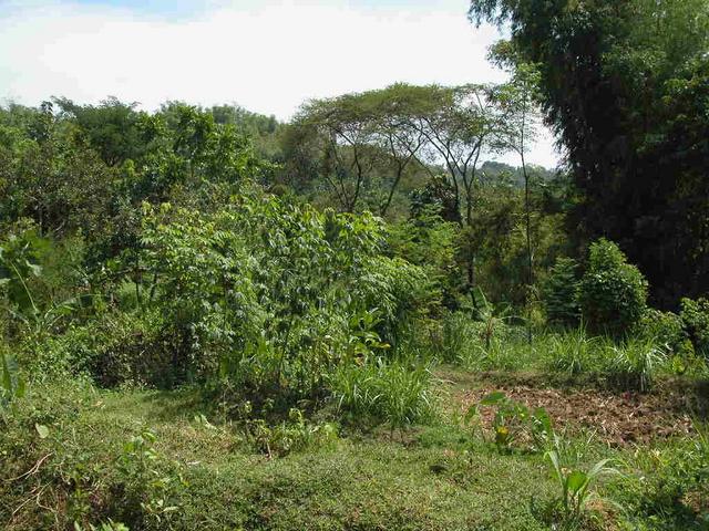 general area of confluence