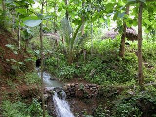 #1: general area of the confluence - a few meters downstream