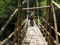 #8: A Stable Bamboo Bridge