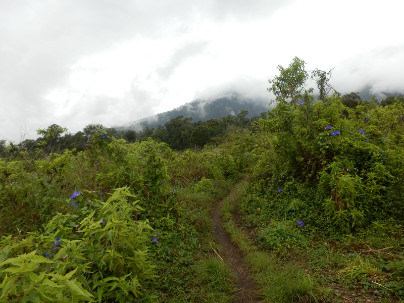 Start of Footpath