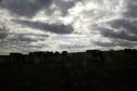 #8: Blick nach Westen mit Kühen- View west with cows