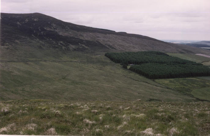 Down into the valley in an south-eastern direction