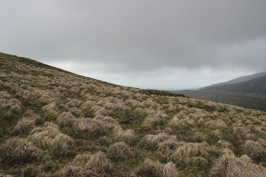 View north from the CP