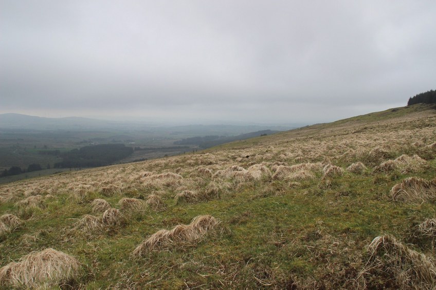 View south from the CP