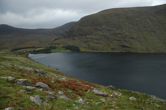 #1: General View of Confluence site looking South-East