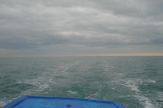 A last Glance at the confluence (distance 60m looking east)