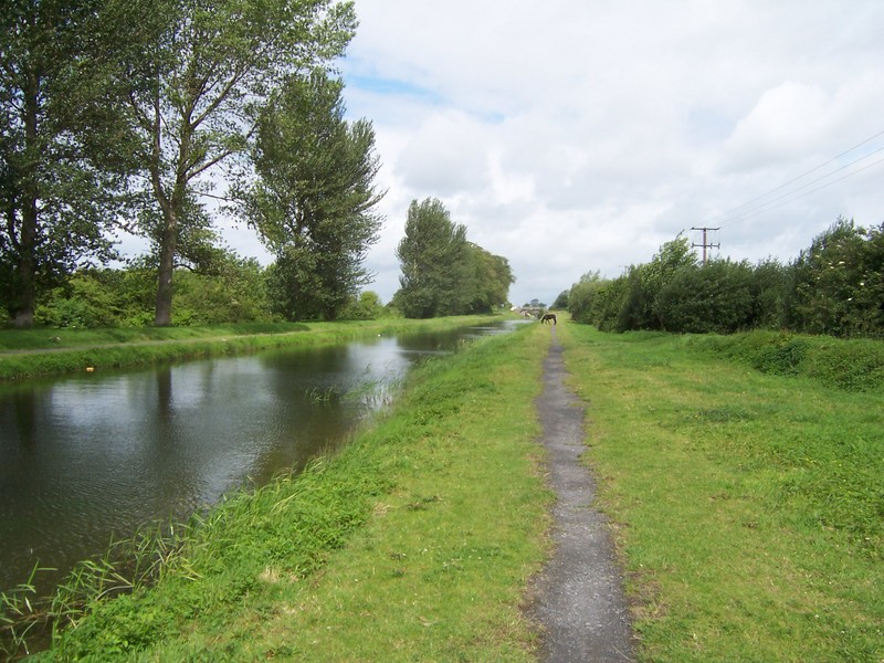 A view of the canal