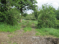 #8: both gates on way back