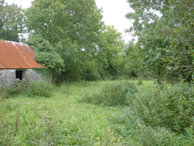 The field containing the confluence