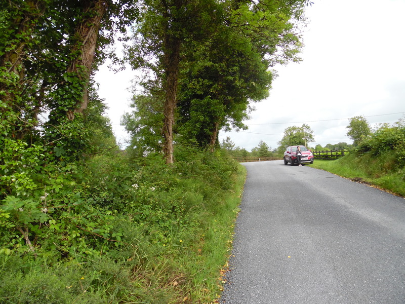 Up the road (NNW) towards the rental car and the toad junction