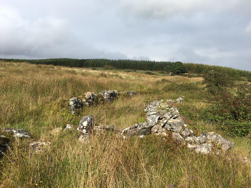 The nearby stone wall