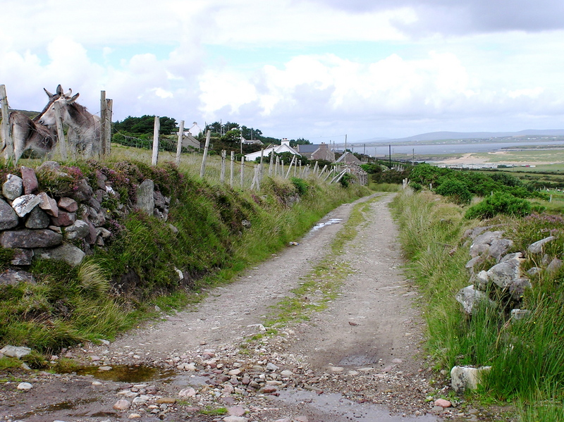 The country road (with the "confluence donkeys"), about 200m from the confluence point