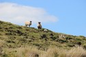 #9: The audience, watching us from the North