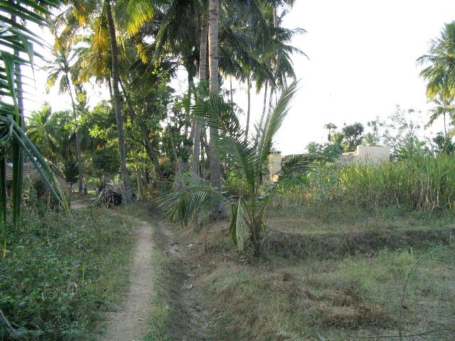 Footpath to the confluence: 13N79E is behind the building